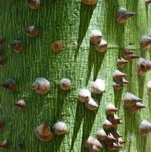 Meet your Posher, Ed